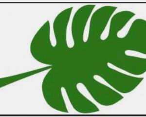 新環(huán)評(píng)法觸發(fā) 量監(jiān)管新變革