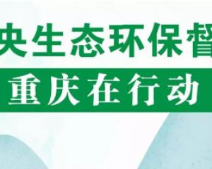重慶市召開(kāi)第二輪中央生態(tài)環(huán)保督察整改工作推進(jìn)會(huì)